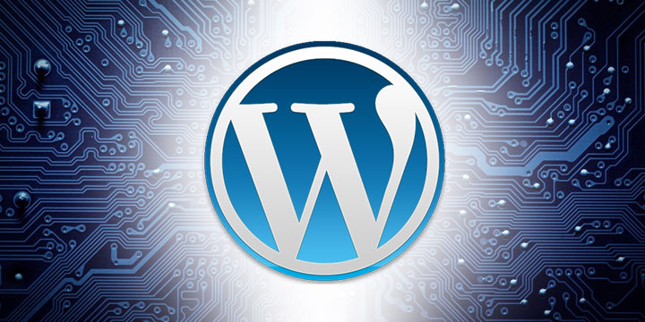 How to disable the wp-cron.php in WordPress